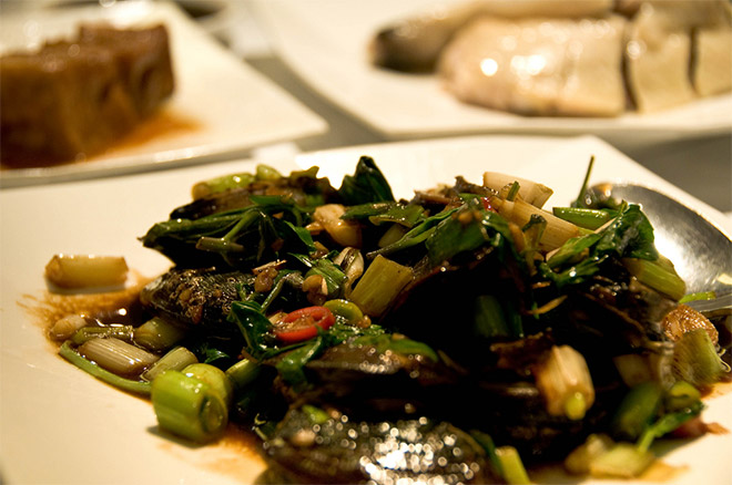 欣葉 (シンイエ）03